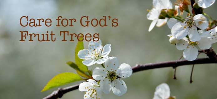 Care For God's Fruit Trees poster