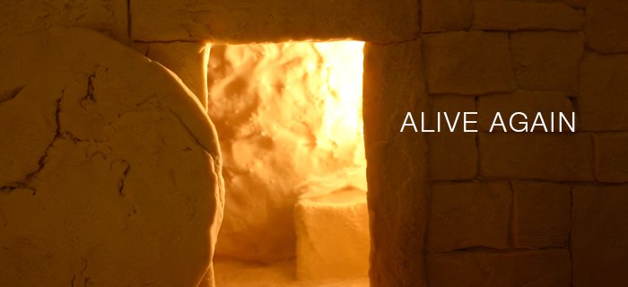 Alive Again poster