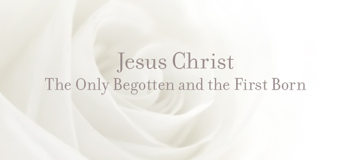 Jesus Christ: The Only Begotten And The First Born poster