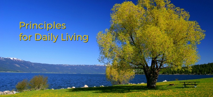 Principles For Daily Living poster
