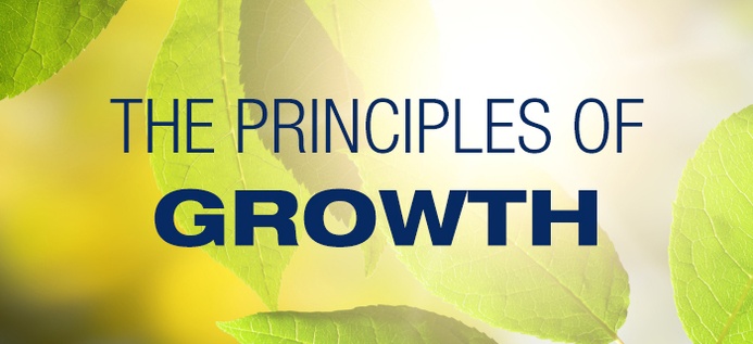 The Principles Of Growth poster