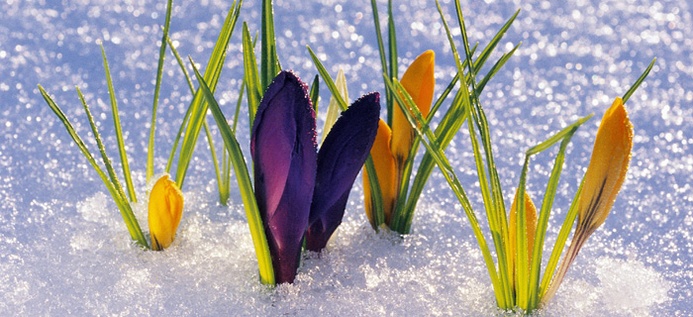 Must A Man Be Born Again? poster