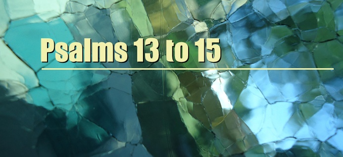 Psalms 13 To 15 poster