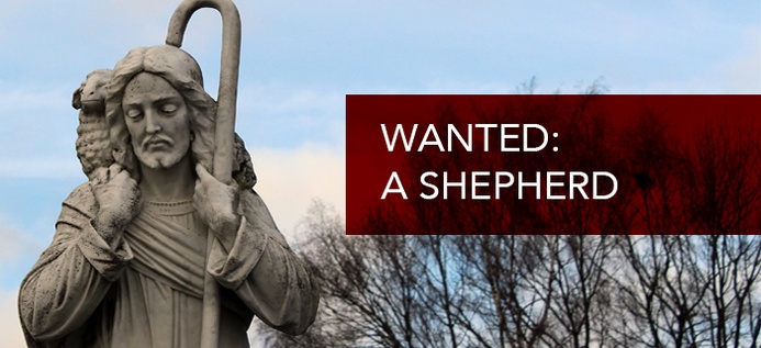 Wanted: A Shepherd poster