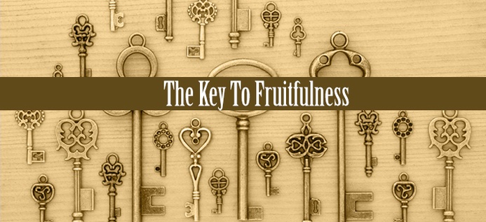 The Key To Fruitfulness poster