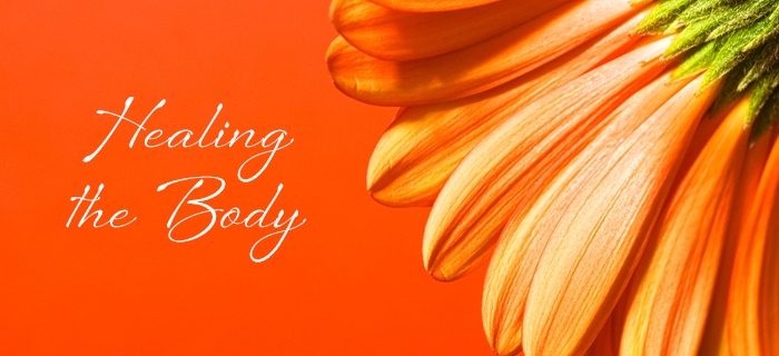 Healing The Body poster