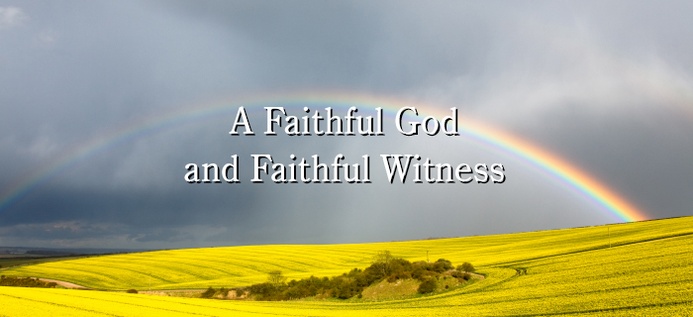 A Faithful God And Faithful Witness poster