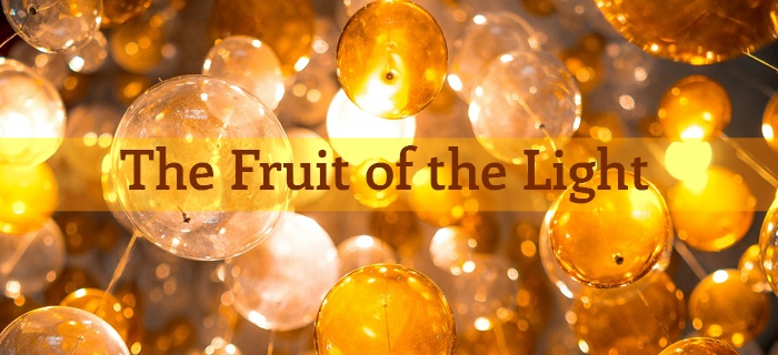 The Fruit Of The Light poster