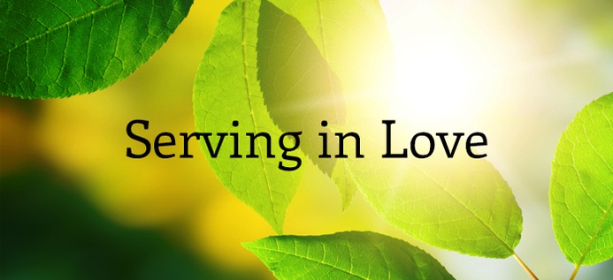 Serving In Love poster