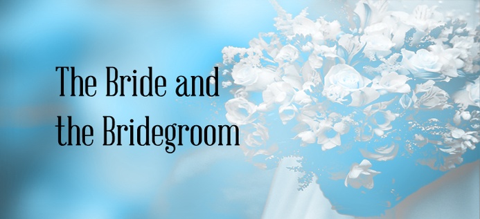 The Bride And The Bridegroom poster