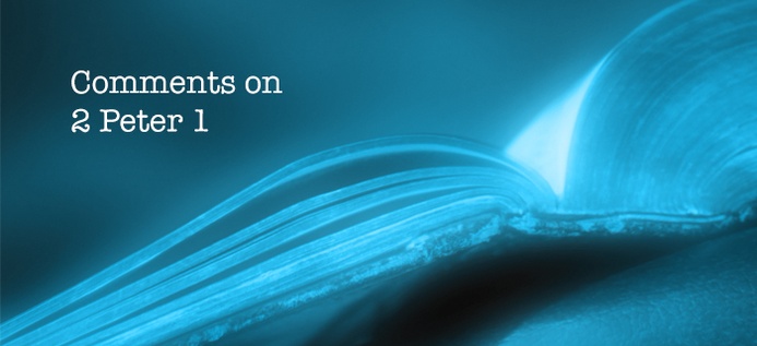 Comments on 2 Peter 1 poster