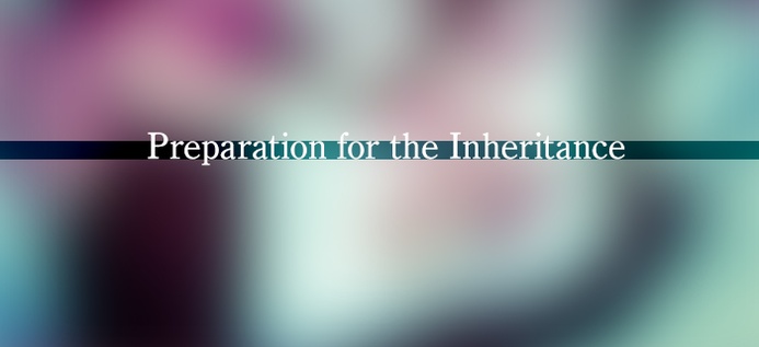 Preparation For The Inheritance poster