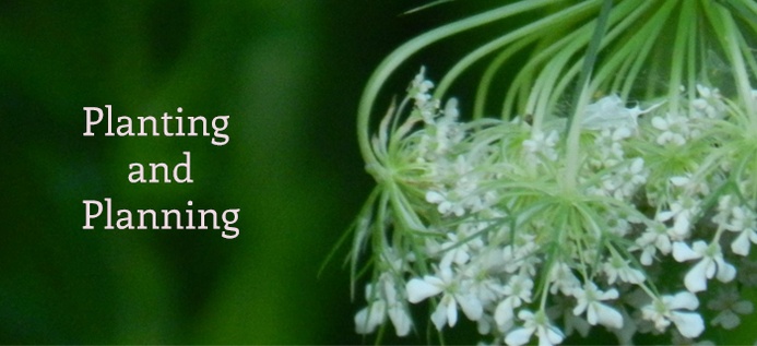 Planting And Planning poster