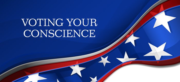 Voting Your Conscience poster