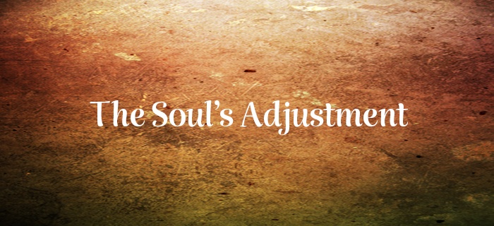 The Soul’s Adjustment poster