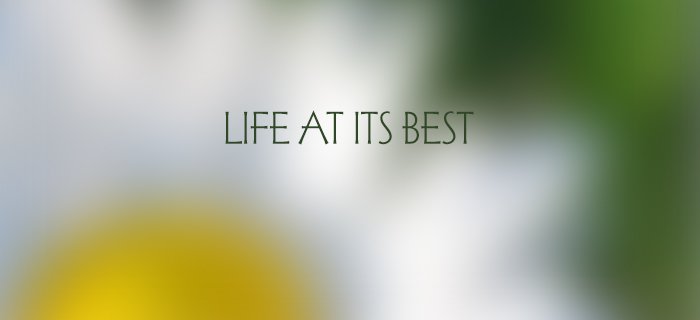 Life At Its Best poster