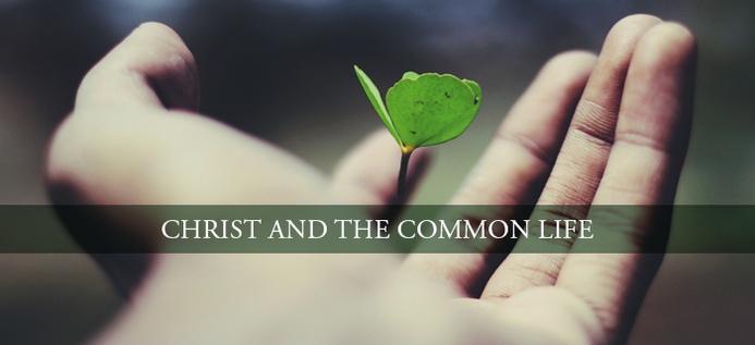 Christ And The Common Life poster