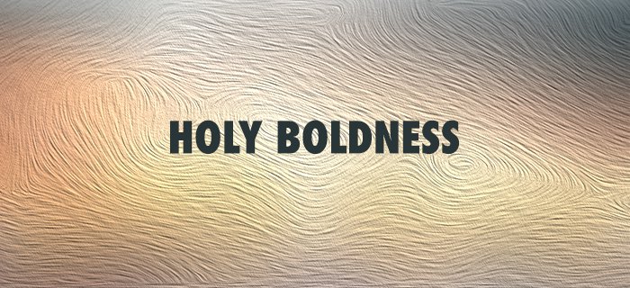 Holy Boldness poster
