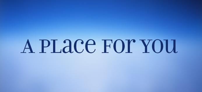 A Place For You poster