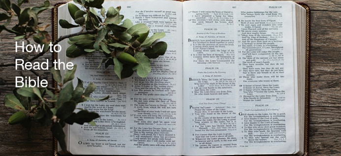 How To Read The Bible poster