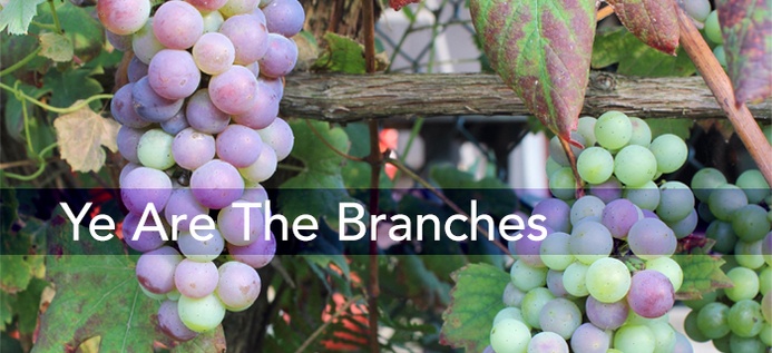 Ye Are The Branches poster