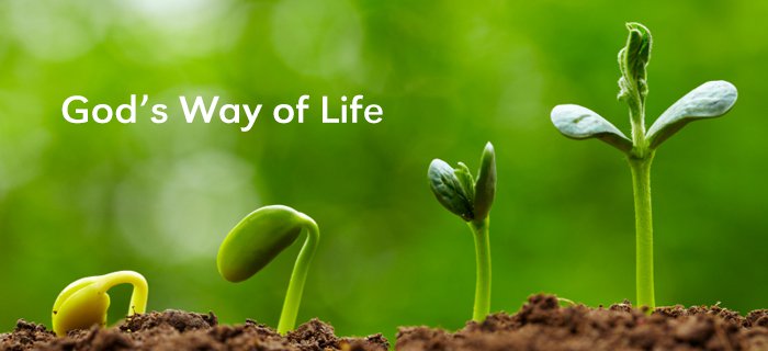 God's Way Of Life poster