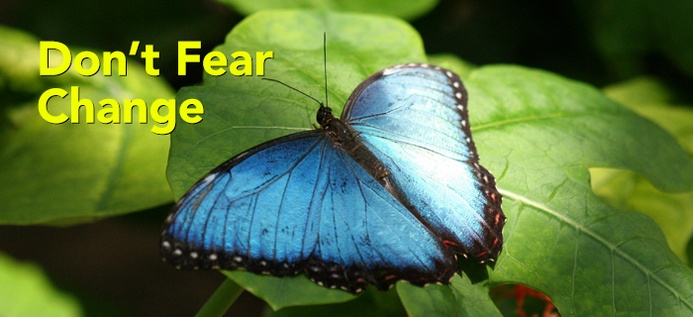 Don’t Fear Change poster