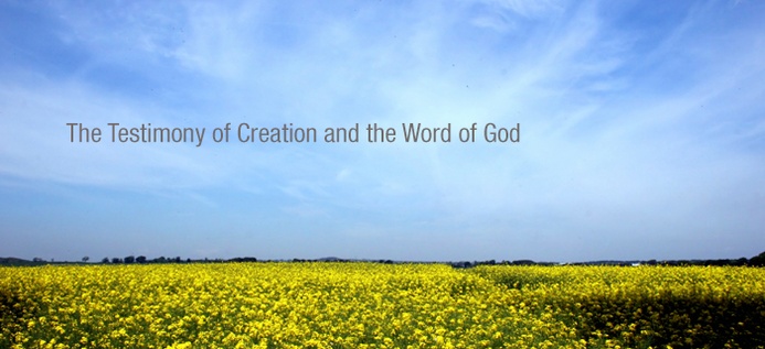 The Testimony Of Creation And The Word Of God poster