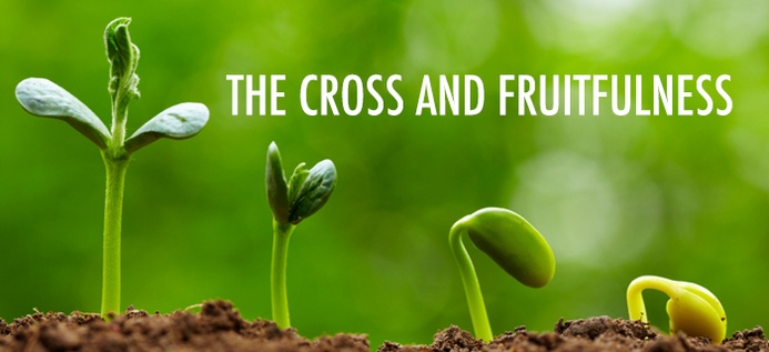 The Cross And Fruitfulness poster