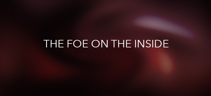 The Foe On The Inside poster