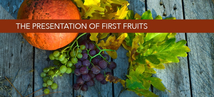The Presentation Of First Fruits poster