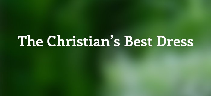The Christian's Best Dress poster
