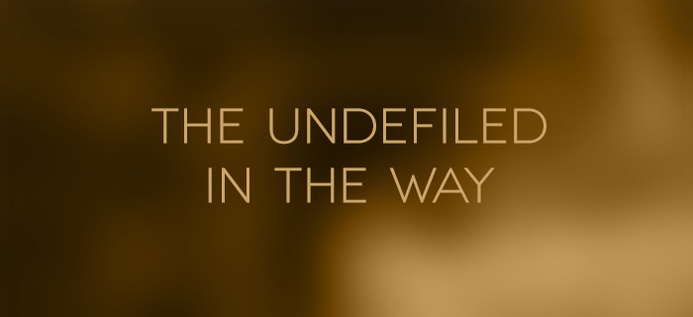 The Undefiled In The Way poster