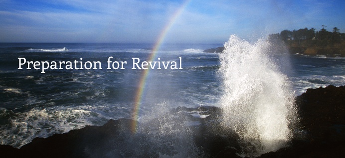 Preparation For Revival poster