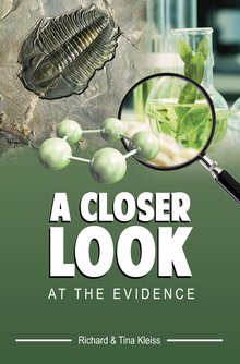 A Closer Look At The Evidence
