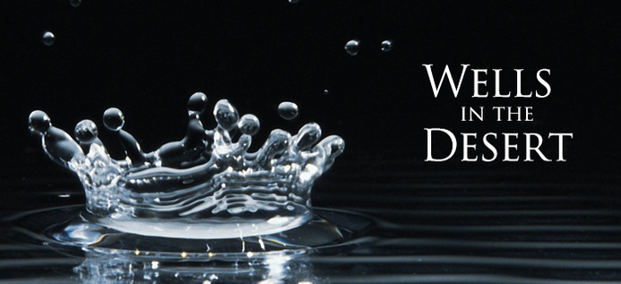 Wells In The Desert poster