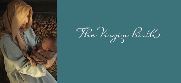 The Virgin Birth poster