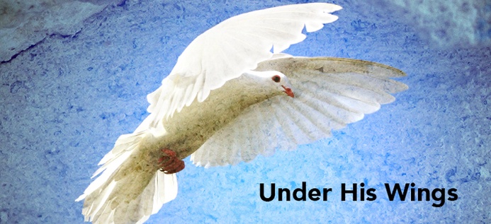 Under His Wings poster