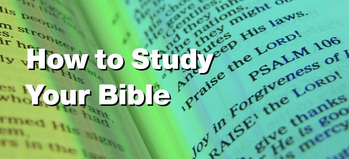 How To Study Your Bible poster