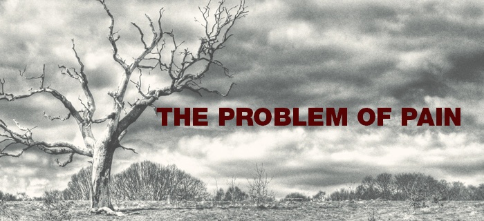 The Problem Of Pain poster
