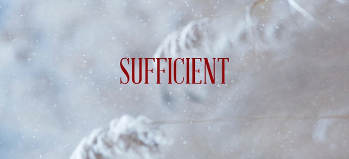 Sufficient poster