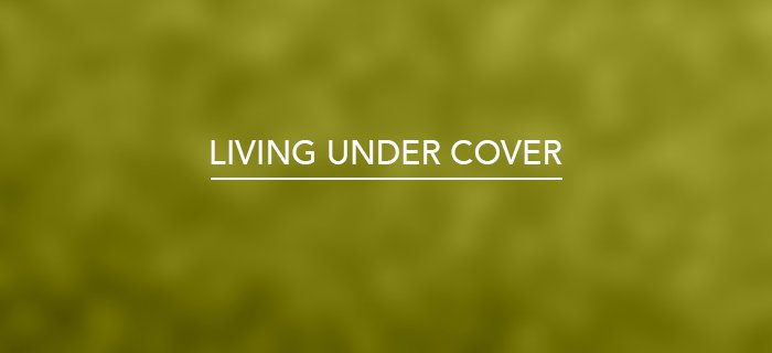Living Under Cover poster