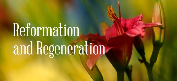 Reformation And Regeneration poster