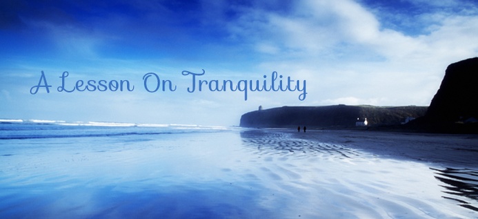 A Lesson On Tranquility poster