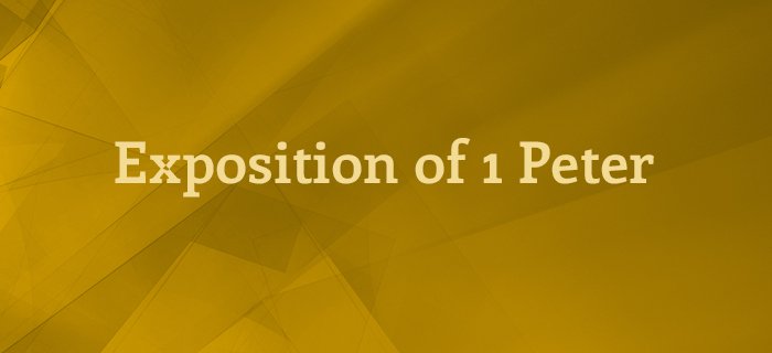 Exposition Of 1 Peter poster