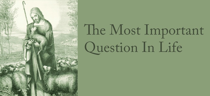 The Most Important Question In Life poster