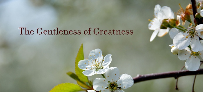 The Gentleness Of Greatness poster