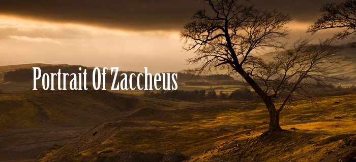 Portrait Of Zaccheus poster