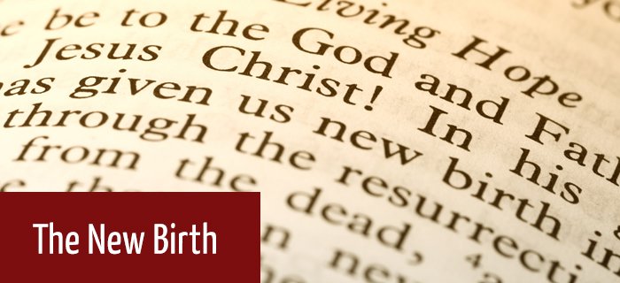 The New Birth poster