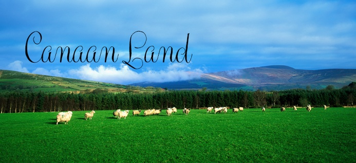 Canaan Land poster